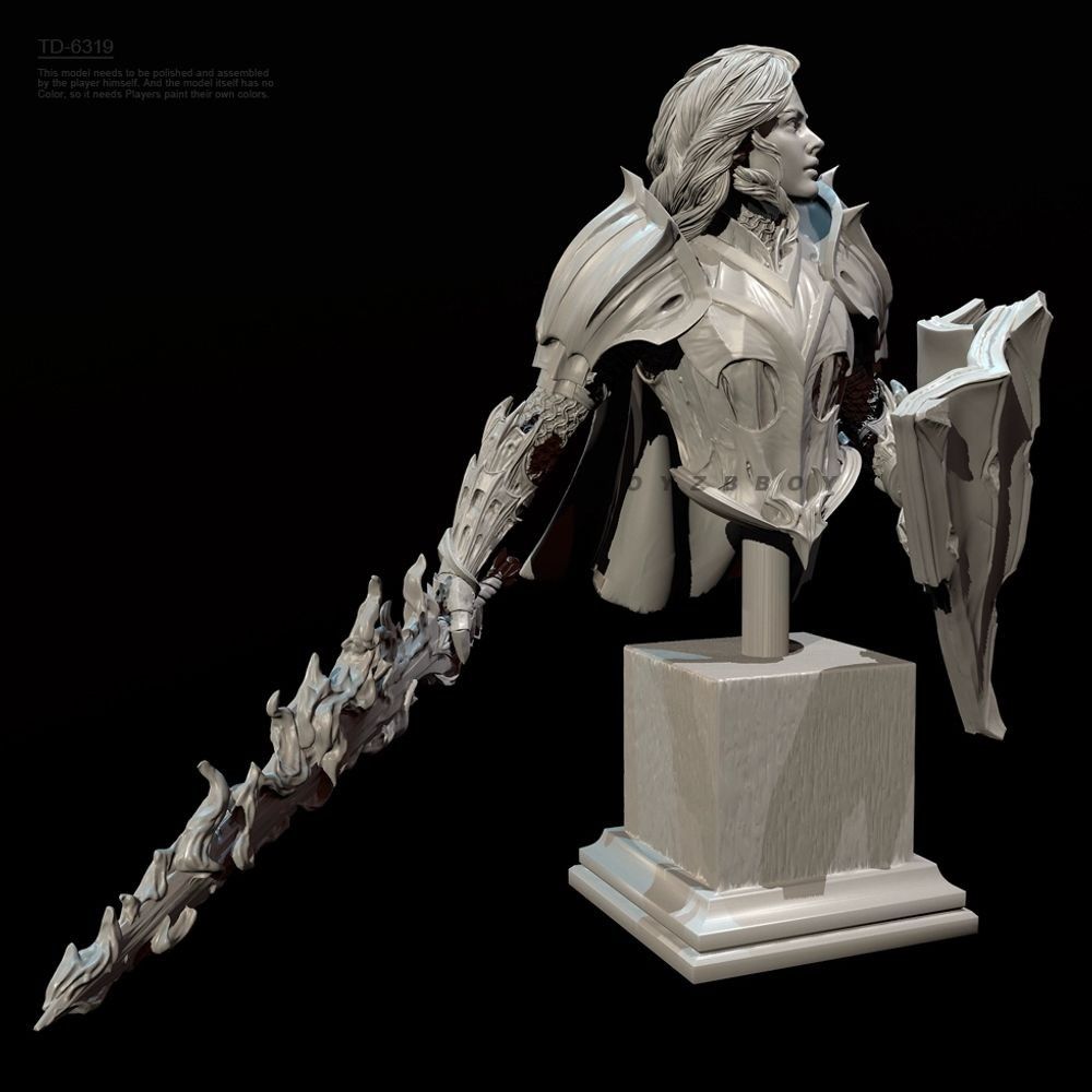 55 мм 70 мм бюст женского рыца – обзор и цена Model Kit Knight
