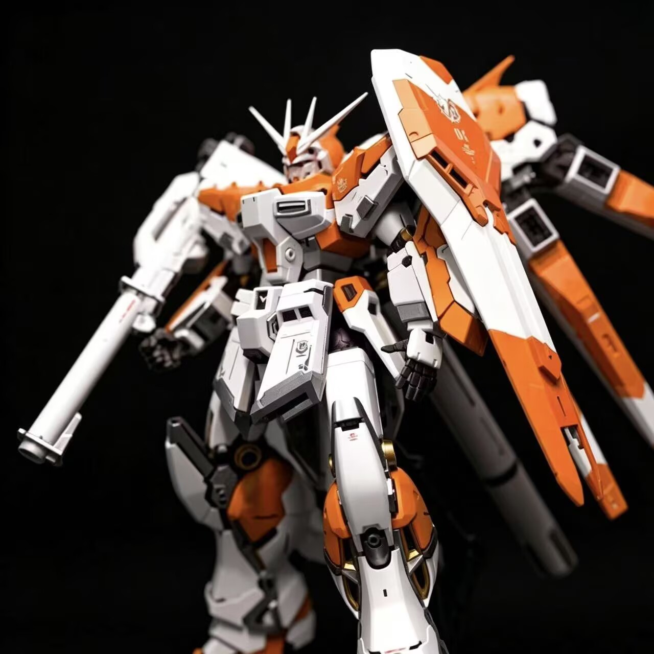 Модель ZHUJIANG Rg Manatee 1/1 – обзор и цена Model Kit Pg